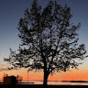 Meet your Posher, Manpreet